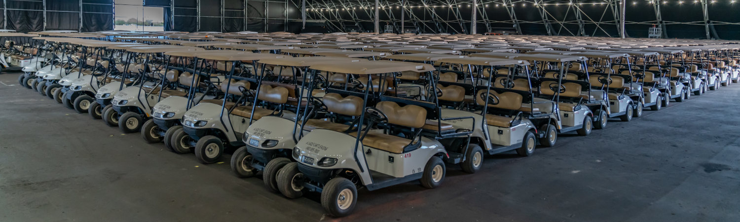2020 E-Z-GO Freedom® RXV® for sale in A-1 Golf Carts, Chandler, Arizona